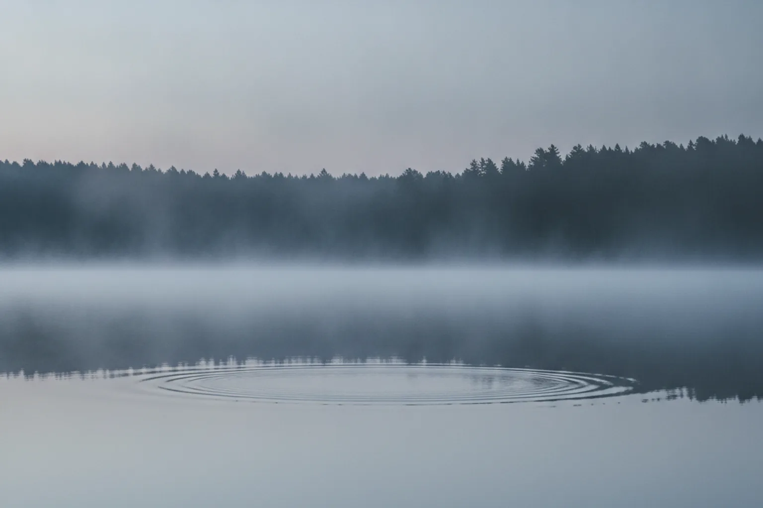 Spiegelglatte Seeoberfläche im Morgennebel mit einem einzelnen sich ausbreitenden Ringmuster
